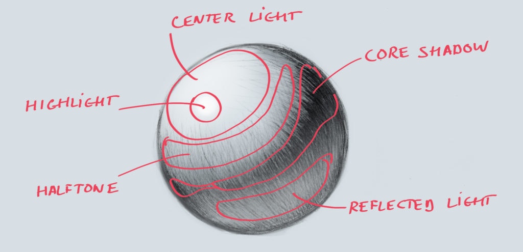 Diagram identifying core shadows and highlights